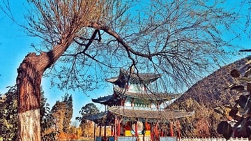 Tour du lịch Trung Quốc 5 ngày 4 đêm: HCM - Lệ Giang - Shangrila, Bay thẳng Ruili Airlines - Tour No Shopping + KS 4* - Image - 5852