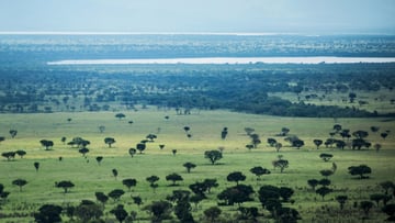 5 Days Gorilla Trekking and Wildlife Safari - Image - 10791