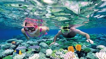 Tour khám phá Cù Lao Chàm 1 ngày - Image - 6853