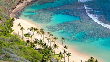 Tour khám phá Cù Lao Chàm 1 ngày - Image - 6851