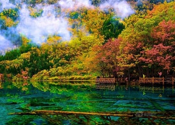 HÀ NỘI - THÀNH ĐÔ - CỬU TRẠI CÂU - HUYỆN MẬU - TRƯỢT TUYẾT GIA CÔ SƠN - ĐÔ GIANG YỂN - Image - 3547