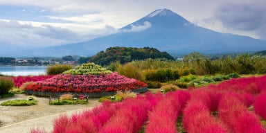 JAPANESE AUTUMN GOLDEN ROUTE (VIETJET FLIGHT) - Image - 597