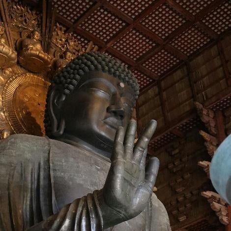 CUNG ĐƯỜNG VÀNG NHẬT BẢN 2025 SẮC THU LÃNG MẠN: NARA – OSAKA – KYOTO – NAGOYA – PHÚ SĨ – TOKYO (NO SHOP) - Image - 1663