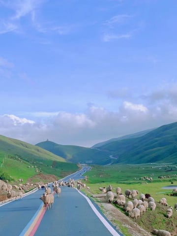 CÔN MINH – ĐẠI HẢI THẢO SƠN - Image - 2364