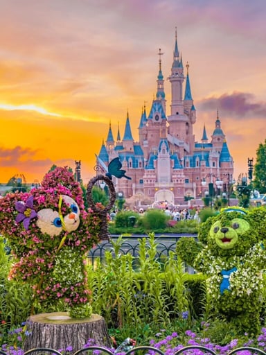 HÀNG CHÂU – THƯỢNG HẢI – Ô TRẤN OPTION DISNEYLAND - Image - 2353