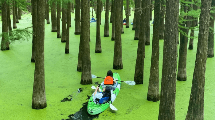 Tour Du Lịch Trung Quốc NO SHOPPING 6N5Đ: Thượng Hải - Ô trấn - Hàng Châu - Thanh Sơn