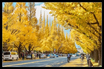 Tour Nhật Bản Tokyo Fuji 5 ngày 4 đêm - Image - 840