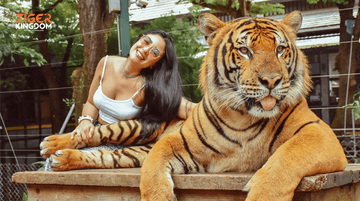 Phuket City Tour - Big Buddha and Tiger Kingdom or Tiger Park with Private Car Without Guide - Image - 1954