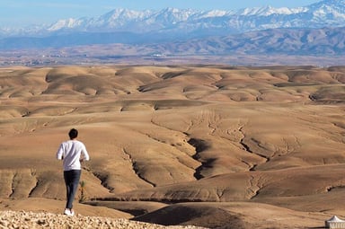 From Marrakech: Agafay Desert, Quad Tour, Camel Ride & Dinner Show - Image - 3350