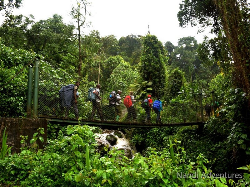 Discover Uganda on a 12-Day Journey from Tropical Glaciers to Chimps & Coffee