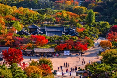Tour Hàn Quốc Mùa Đông: Seoul - Nami - NamSan - Everland 5N4D - Image - 2193
