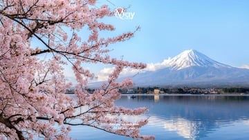 NARA – OSAKA – KYOTO – PHÚ SĨ – TOKYO - Image - 4787