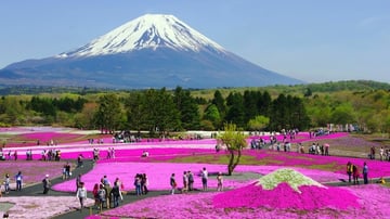 HÀ NỘI - NAGOYA - NARA–NAGOYA - KYOTO – NÚI PHÚ SĨ – LỄ HỘI HOA CHI ANH - TOKYO - Image - 8604