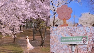 TRUNG QUỐC - DU NGOẠN GIANG NAM 2026: THƯỢNG HẢI - Ô TRẤN - HÀNG CHÂU (No Shopping) - Image - 9487