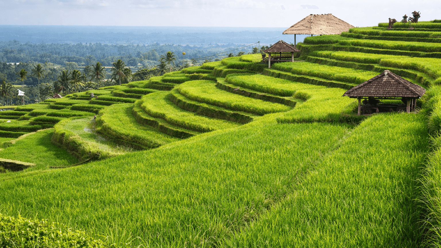 Jatiluwih Tanah Lot Tour