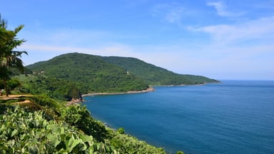 Son Tra Peninsula Adventure by Jeep – Half-Day Tour - Image - 6558