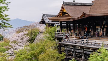 CUNG ĐƯỜNG VÀNG MÙA HOA ANH ĐÀO: TOKYO - FUJI - TOYOHASHI - KYOTO - OSAKA 5N5Đ - Image - 11195