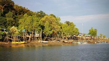 Evening Wetland National Park - Night Safari – Malaysia - Image - 11169
