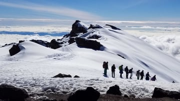 Kilimanjaro Lemosho Route 6 Days - Image - 9304