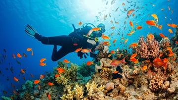 Tour Phú Quốc 3N2Đ: Từ HCM - Phú Quốc - Câu Cá - Lặn Ngắm San Hô, VMB khứ hồi + Khách sạn 3* - Image - 6184