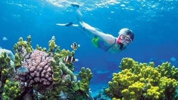 Tour Phú Quốc 3N2Đ: Từ HCM - Phú Quốc - Câu Cá - Lặn Ngắm San Hô, VMB khứ hồi + Khách sạn 3* - Image - 6180