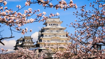 CUNG ĐƯỜNG VÀNG 2026 - RỰC RỠ SẮC HOA ANH ĐÀO KOBE – OSAKA – KYOTO – PHÚ SĨ – TOKYO NO SHOPPING - Image - 7999