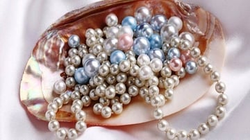 Tour Phú Quốc 3N2Đ: Từ HCM - Phú Quốc - Câu Cá - Lặn Ngắm San Hô, VMB khứ hồi + Khách sạn 3* - Image - 6207