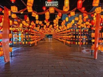 PHƯỢNG HOÀNG CỔ TRẤN – TRƯƠNG GIA GIỚI – ÂN THI - Image - 2443