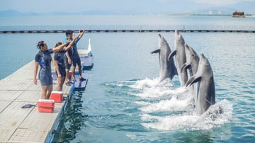 Subic Ocean Adventure Tour with visit to Camayan Beach - Image - 9969