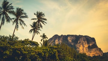 SIC, Wonderfull Thailand (Bangkok-Pattaya) - Image - 4434