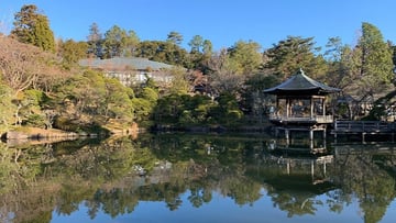 HÀ NỘI - NAGOYA - NARA–NAGOYA - KYOTO – NÚI PHÚ SĨ – LỄ HỘI HOA CHI ANH - TOKYO - Image - 8607