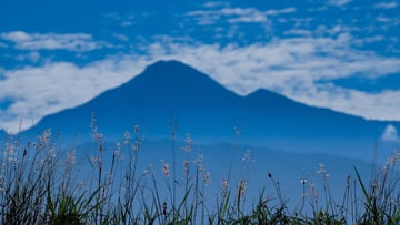 ĐÀI BẮC- ĐÀI TRUNG- NAM ĐẦU-GIA NGHĨA- CAO HÙNG Mùng 1 tết âm lịch - Image - 4347