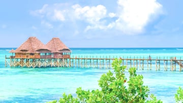 12 DAYS TANZANIA WILDLIFE TO ZANZIBAR BEACH ESCAPE - Image - 7625