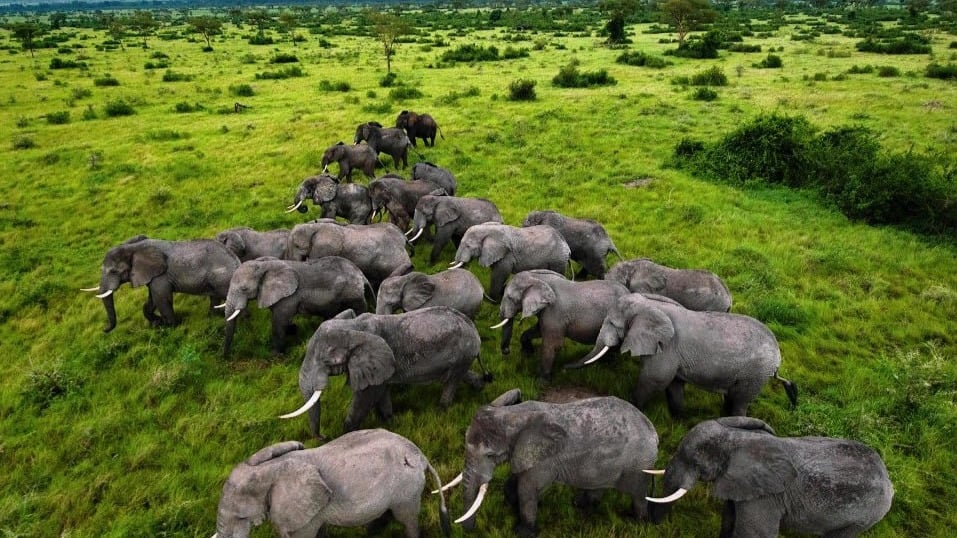 6 days Uganda Adventure safari - Image - 10824