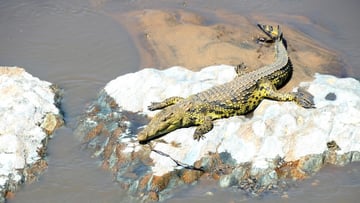 4 DAYS INTO THE WILD - SERENGETI AND NGORONGORO CRATER - Image - 7753