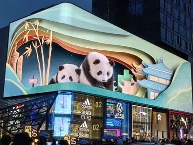 HÀ NỘI - THÀNH ĐÔ - CỬU TRẠI CÂU - HUYỆN MẬU - TRƯỢT TUYẾT GIA CÔ SƠN - ĐÔ GIANG YỂN - Image - 3551