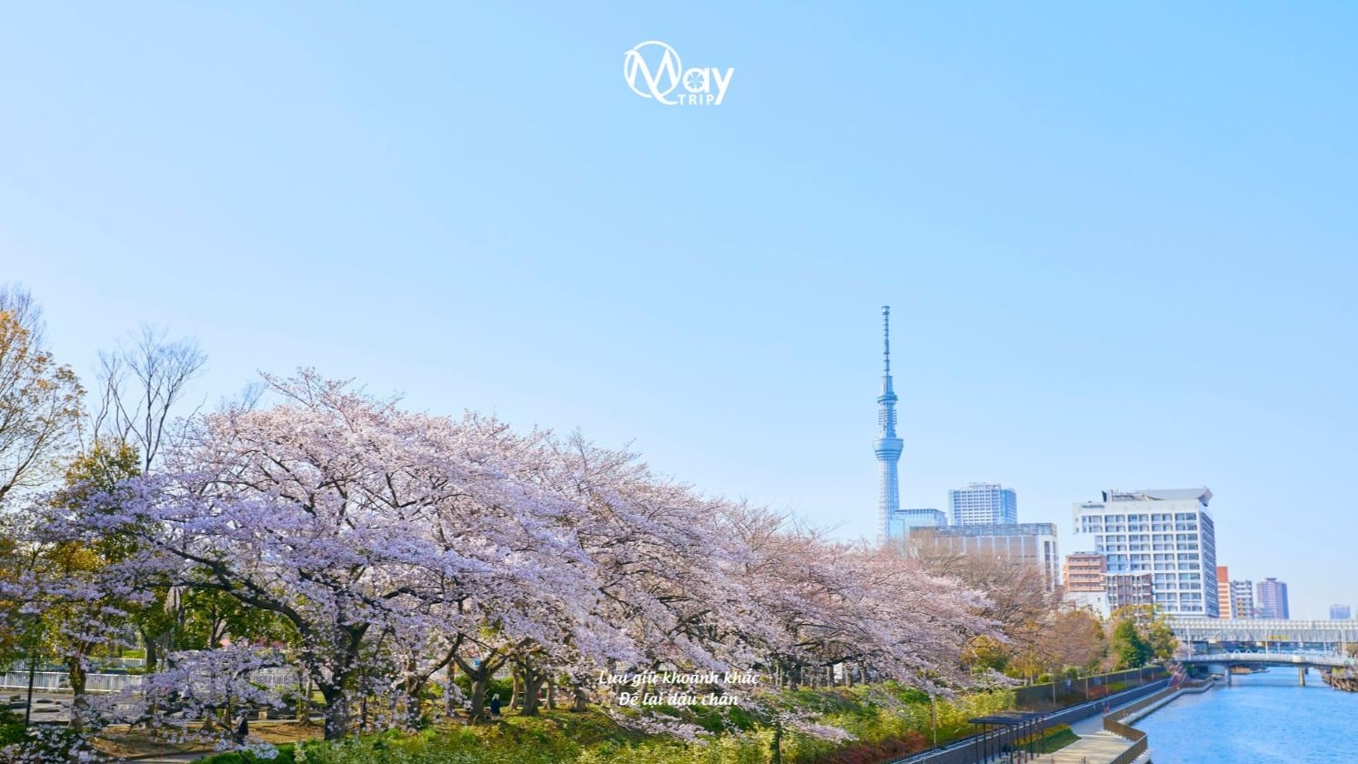 NARA – OSAKA – KYOTO – PHÚ SĨ – TOKYO