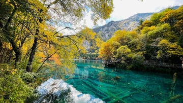 Tour Du Lịch Trung Quốc 6N5Đ: Thành Đô - Công Viên Gấu Trúc - Cửu Trại Câu - Lạc Sơn Đại Phật - Image - 7329