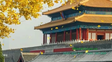 BẮC KINH - HÀNG CHÂU – Ô TRẤN - THƯỢNG HẢI (AIR CHINA) - Image - 7860