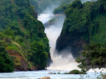 Ultimate 8-Day Uganda Safari: Gorillas, Chimps, Rhinos & Nile River Adventures - Image - 3678