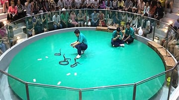 Tour Du lịch Thái Lan 5N4Đ: Từ Hà Nội - Bangkok - Pattaya - Đảo Coral - Show Alcazar - Baiyoke, Bay VN - Image - 4948