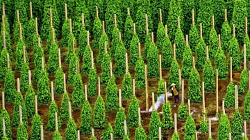 Tour Phú Quốc 3N2Đ: Từ HCM - Phú Quốc - Câu Cá - Lặn Ngắm San Hô, VMB khứ hồi + Khách sạn 3* - Image - 6193