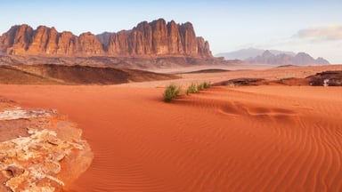 7 Day 6 Night Discover Jordan Tour - Image - 4307