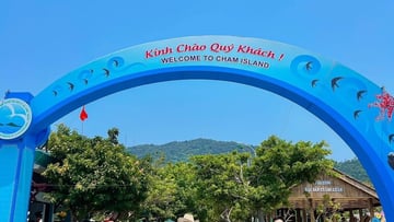 Khám Phá Cù Lao Chàm 1 ngày - Image - 7084