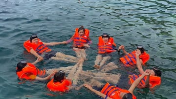 Khám Phá Cù Lao Chàm 1 ngày - Image - 7085