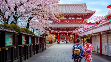 HÀ NỘI – OSAKA – KOBE – KYOTO – NÚI PHÚ SĨ – TOKYO – NGẮM HOA ANH ĐÀO – HÀ NỘI - Image - 8984