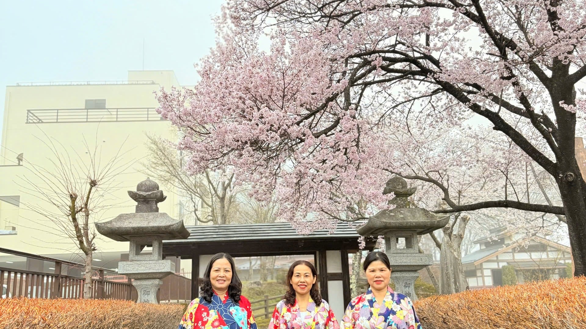 Tokyo - Mt Fuji - Nagoya - Kyoto - Kobe - Osaka