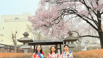 Tokyo - Mt Fuji - Nagoya - Kyoto - Kobe - Osaka - Image - 6452