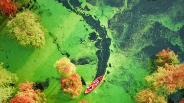 TOUR TRUNG QUỐC THƯỢNG HẢI – HÀNG CHÂU – Ô TRẤN 5N4Đ - Image - 9560