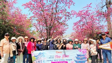 Tour Du lịch Trung Quốc 6N5Đ Côn Minh – Đại Lý – Lệ Giang – Shangrila | 6N5Đ - Image - 7343